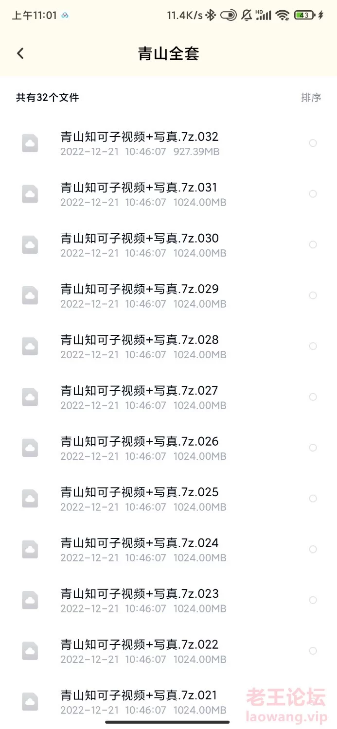 Screenshot_2022-12-24-11-01-37-026_com.baidu.netdisk.jpg